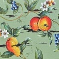 FRUIT & FLOWERS
