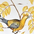 BOTANICAL