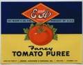 TOMATO PUREE