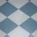 HARLEQUIN GREY