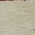 ANTIQUE CREAM