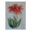 BOTANICAL 6