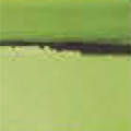 PISTACHIO